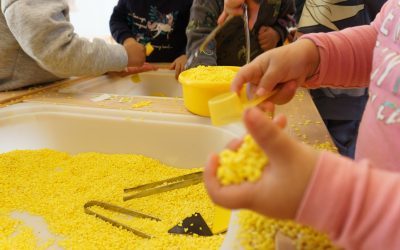 S’obren les preinscripcions!